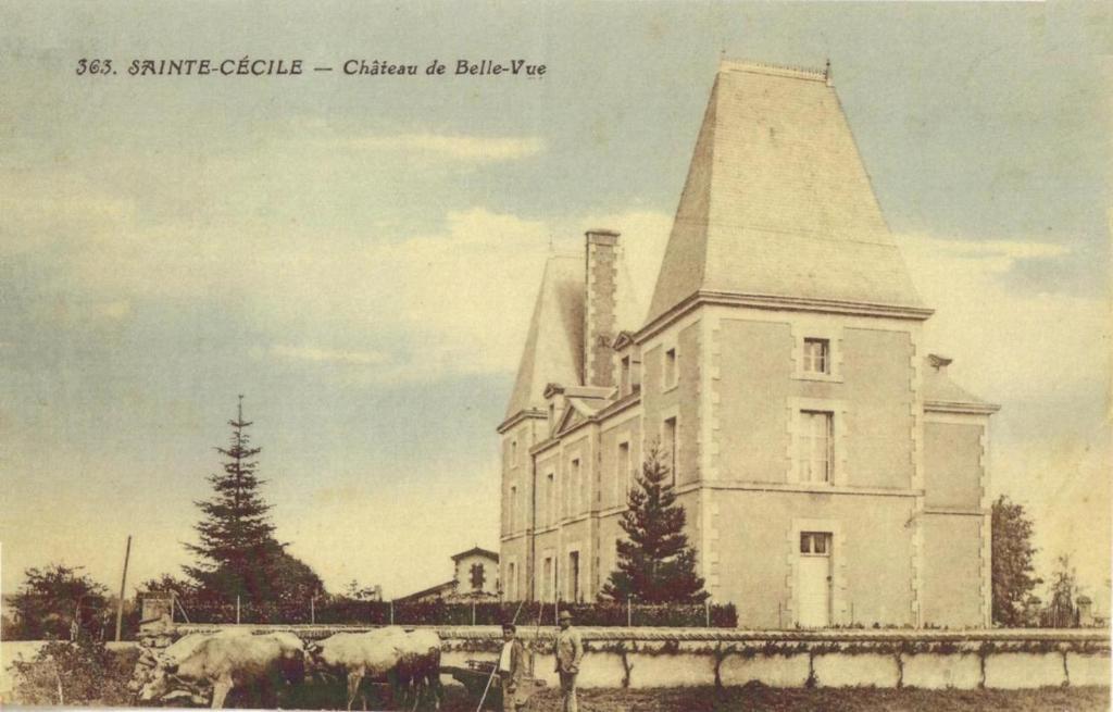 Chateau De Belle-Vue Bed and Breakfast Sainte-Cécile Exterior foto